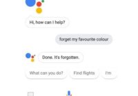 Remove Google Assistant Memory