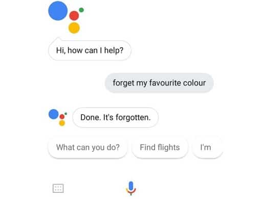 Remove Google Assistant Memory