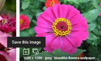 Save Images in bing search engine