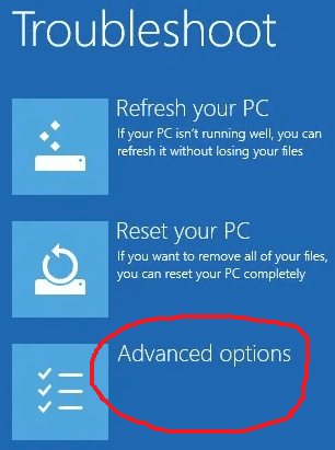 windows 8 advanced options